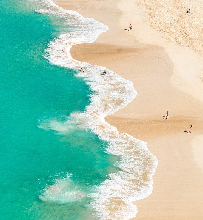 Perfect Trip Perfect Trip